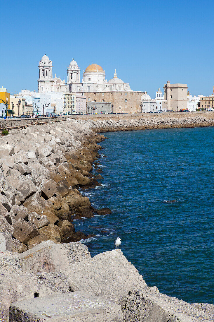 Kai und Kathedrale in der Altstadt von Cádiz, Provinz Cádiz, Costa de la Luz, Andalusien, Spanien, Europa