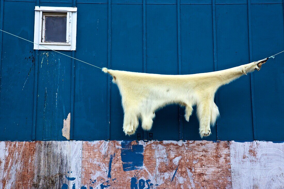 Eisbärfell an einem Haus in Isortoq, Ostgrönland, Grönland
