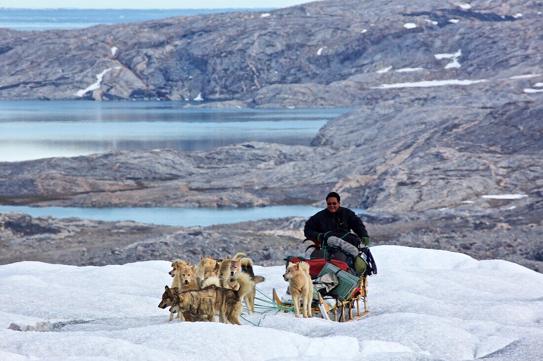 Dog sled near Isortoq, East Greenland, Greenland