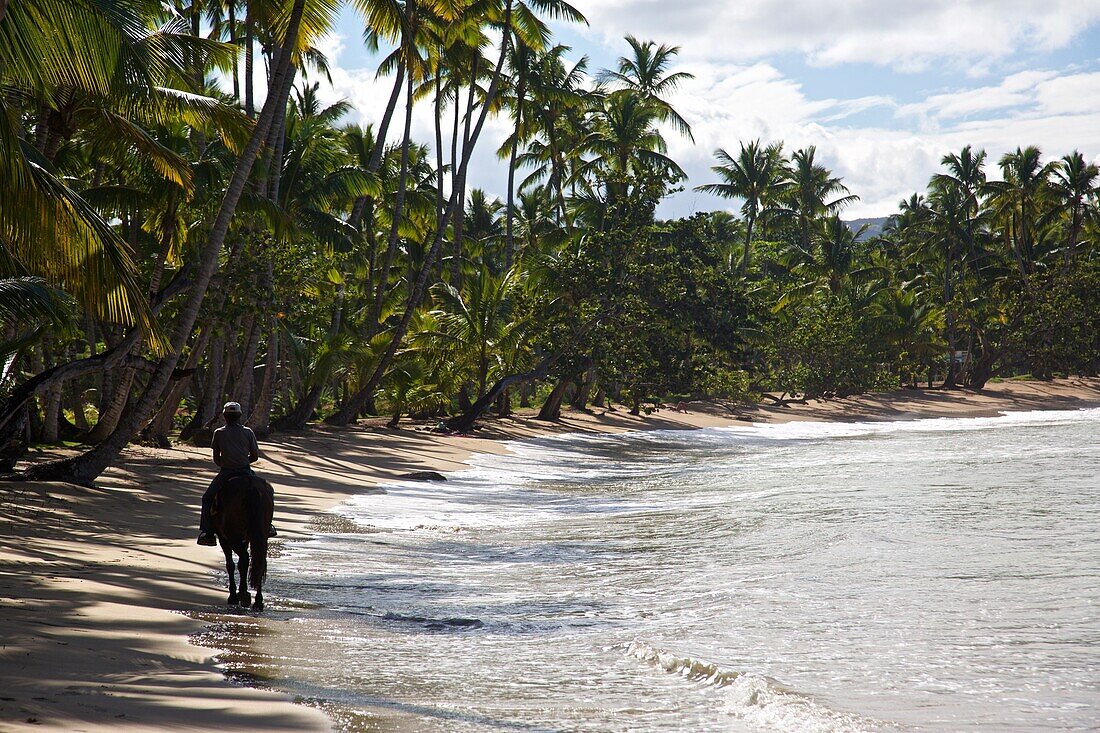 Horserider on the beach of Las Terrenas on the Samana peninsula, Dominican republic