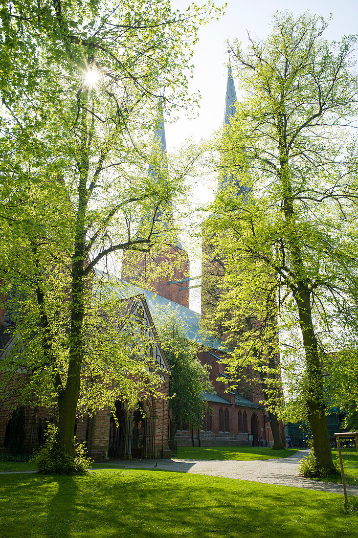 Lubeck cathedral, Lubeck, Schleswig-Holstein, Germany