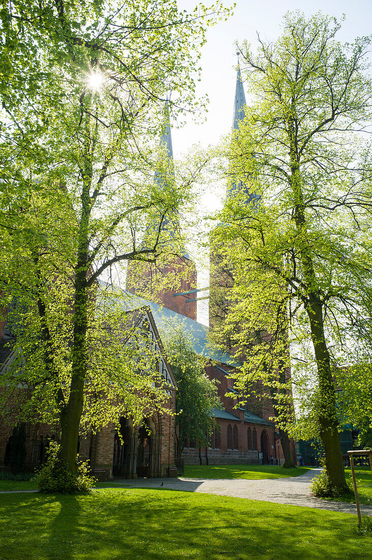 Lübecker Dom, Lübeck, Schleswig-Holstein, Deutschland