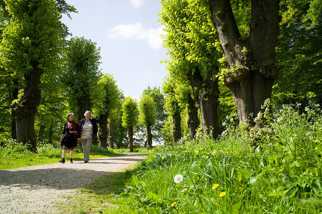 Frauen gehen im Stadtpark spazieren, Wallanlagen, Lübeck, Schleswig-Holstein, Deutschland