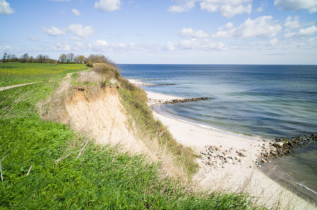 Cliff at Lubeck Bay, Neustadt in Holstein, Schleswig-Holstein, Germany