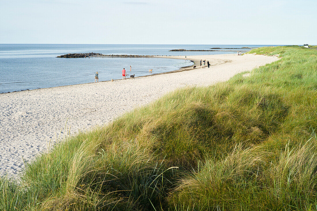 Baltic Sea beach, Heidkate, Probstei, Schleswig-Hostein, Germany