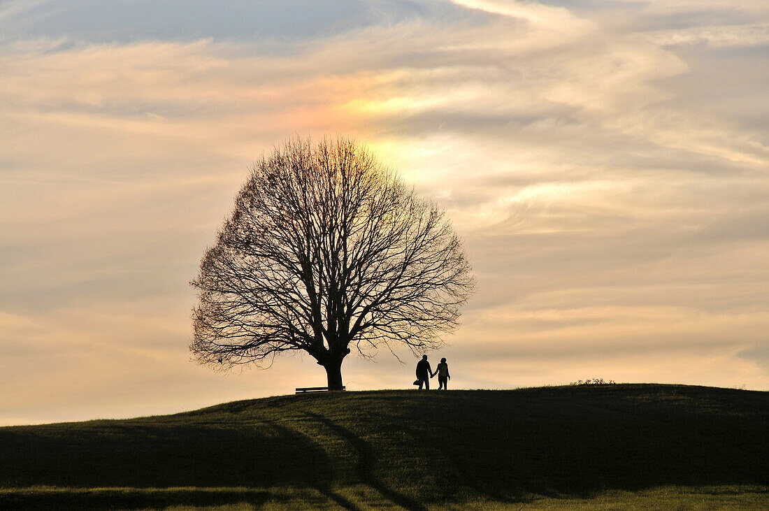 Auf dem Irschenberg bei Sonnenuntergang, Landschaften in Bayern, Oberbayern, Bayern. Deutschland