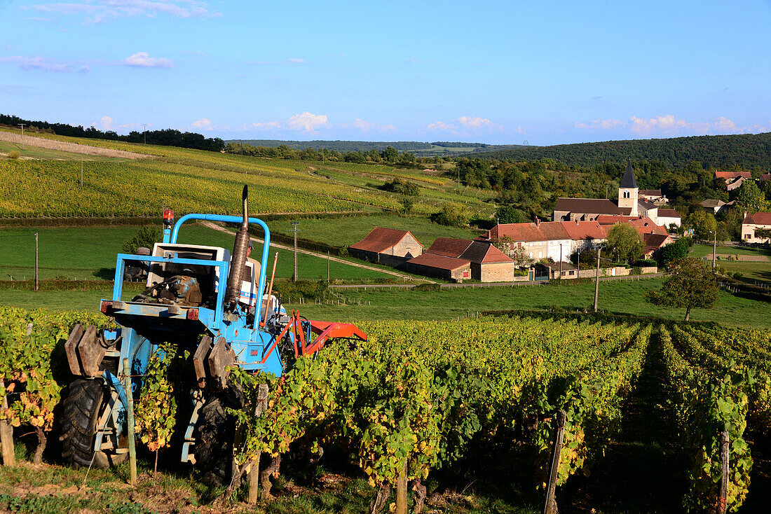 Landscape at Martailly near Cluny, Saon-et-Loire, Burgundy, France