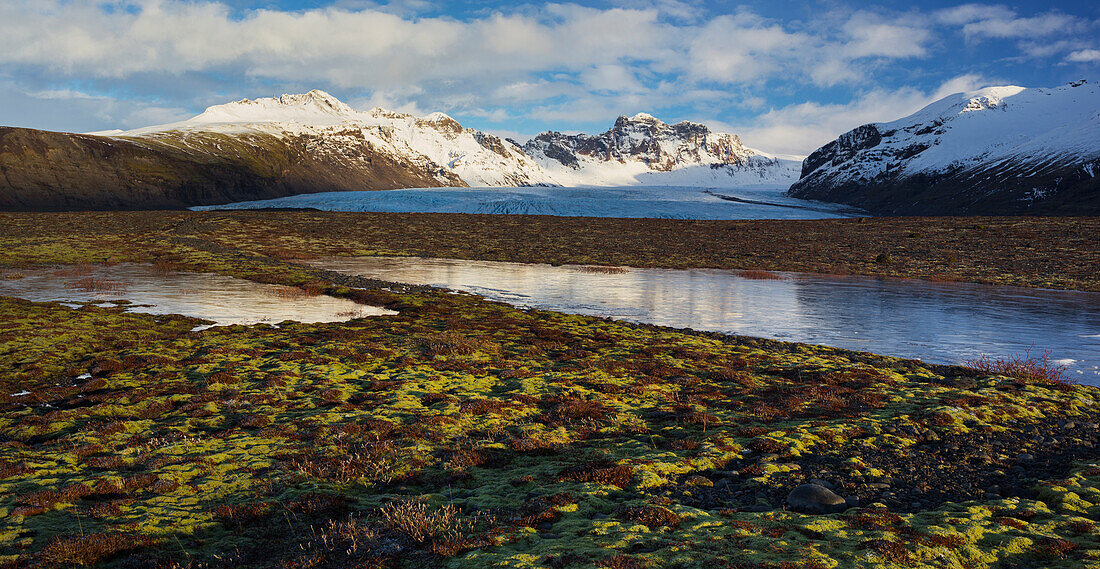 Skardatindur, Moss covered landscape, Skaftafellsjokull, Skaftafell, South Island, Island