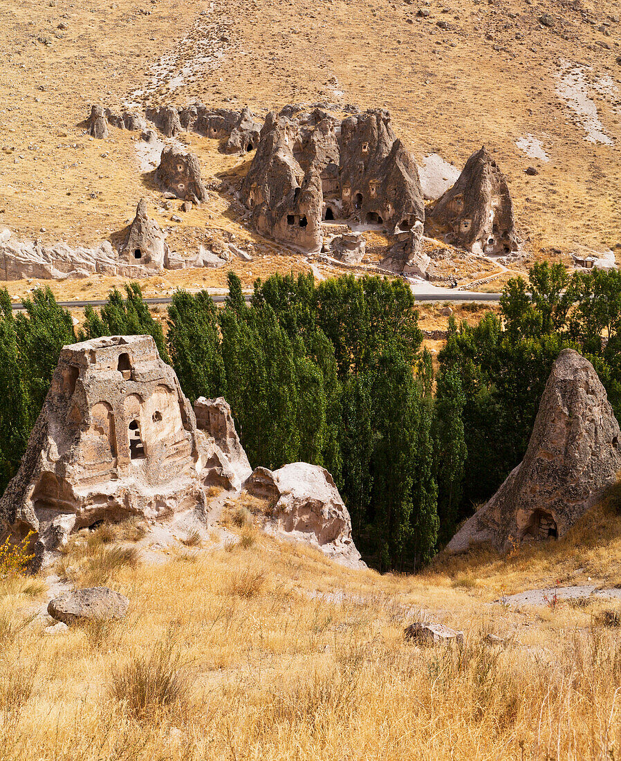 'Fairy chimneys and trees in an arid landscape; Goreme, Cappadocia, Turkey'