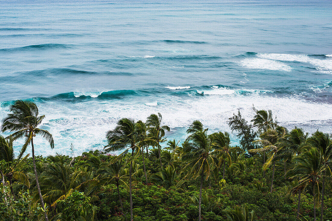 'Surf and coconut palms are found along the north shore; Haena, Kauai, Hawaii, United States of America'