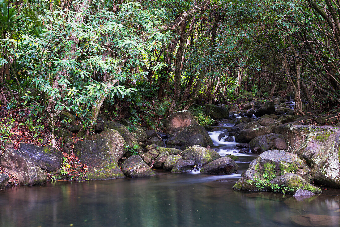 'A stream flows down to the beach; Haena, Kauai, Hawaii, United States of America'