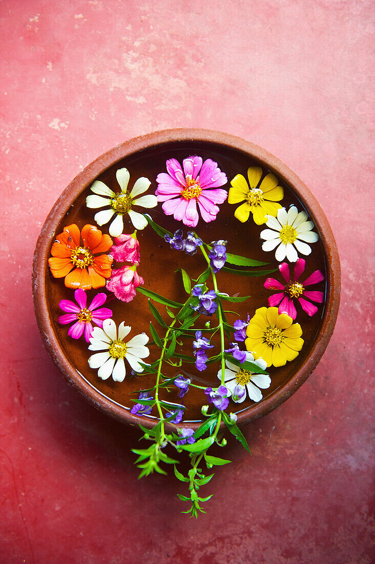 'Colourful flowers placed in a shallow bowl of water for decoration; Ulpotha, Embogama, Sri Lanka'
