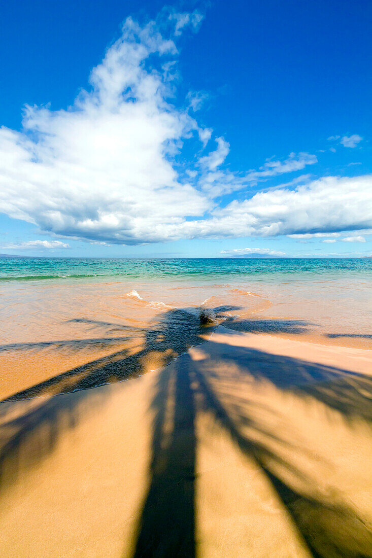 Hawaii, Maui, Wailea, Keawakapu Beach, Palm tree shadows on the beach.