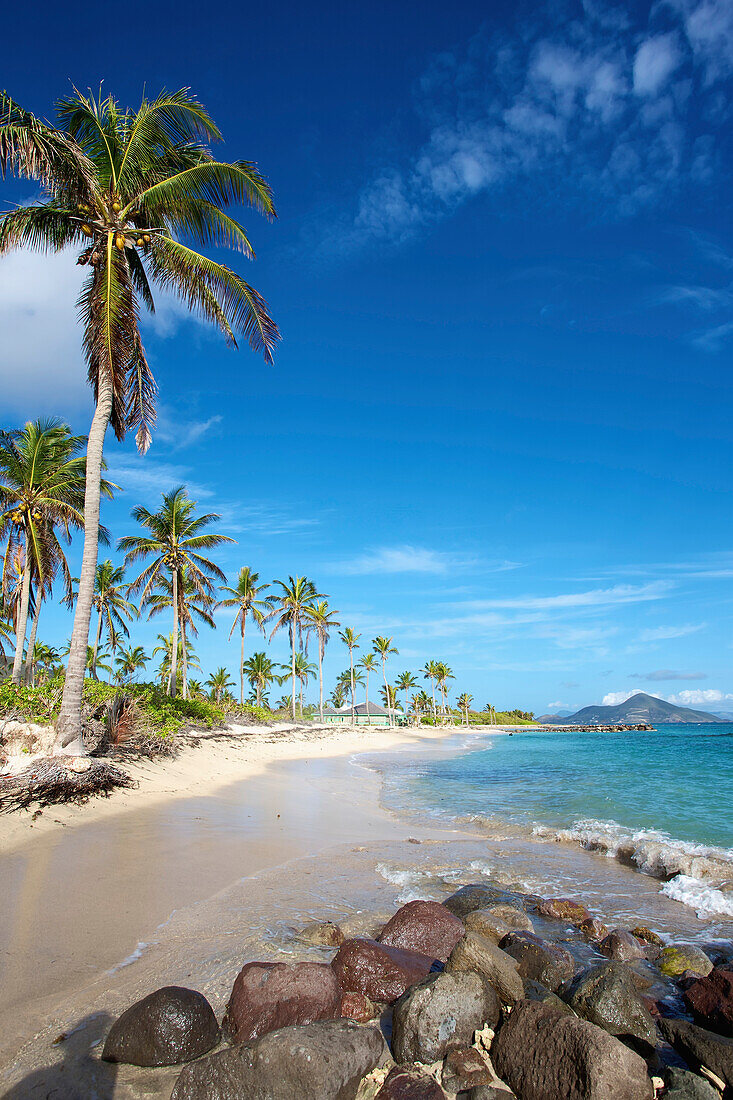 'Palm trees and sand line the coastline of a caribbean island; Nesbit Beach, Nevis'