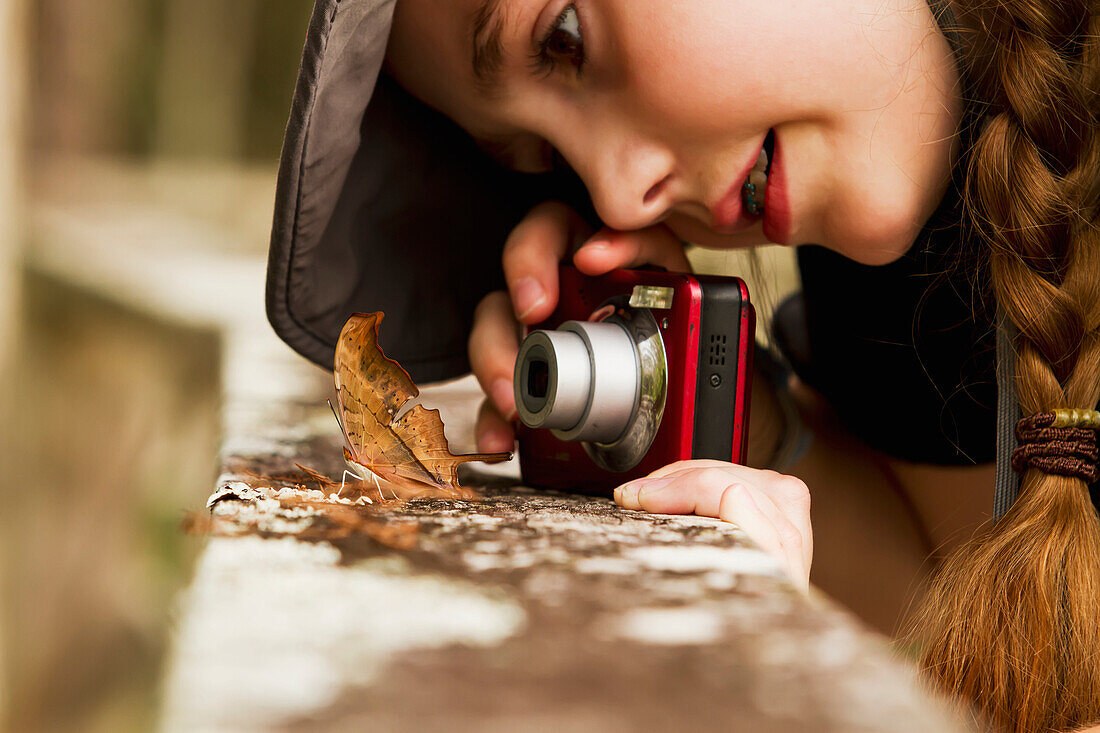 'Close up of a young girl taking picture of Ruddy Daggerwing (Marpesia petreus) butterfly, which has wings camouflaged to look like leaf; Florida, United States of America'