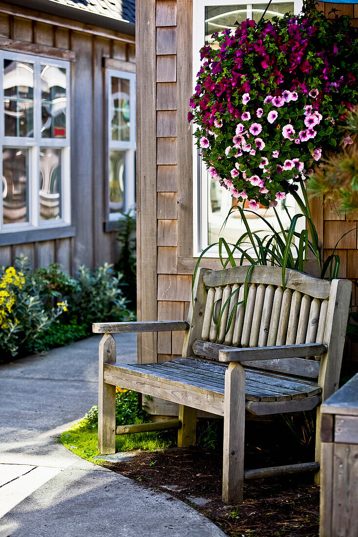 'A wood bench and hanging flower basket along a path outside retail shops; Cannon Beach, Oregon, United States of America'
