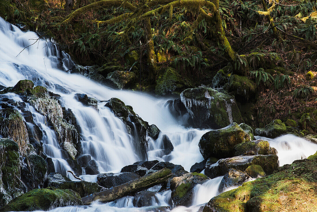 'Fishhawk Falls is found at Lee Wooden County Park; Jewell, Oregon, United States of America'