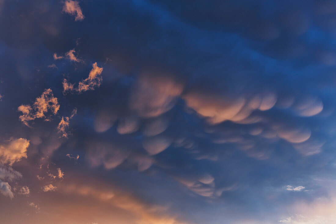 'Mammatus clouds at sunset; Cochabamba, Bolivia'