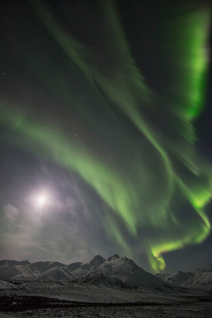 'Northern Lights (Aurora Borealis); Yukon, Canada'