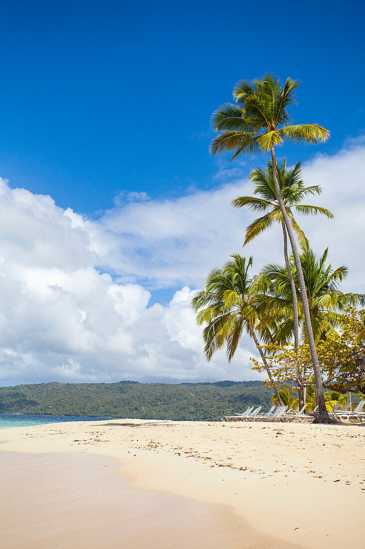 Cayo Levantado, Samana, Eastern Peninsula de Samana, Dominican Republic, West Indies, Caribbean, Central America