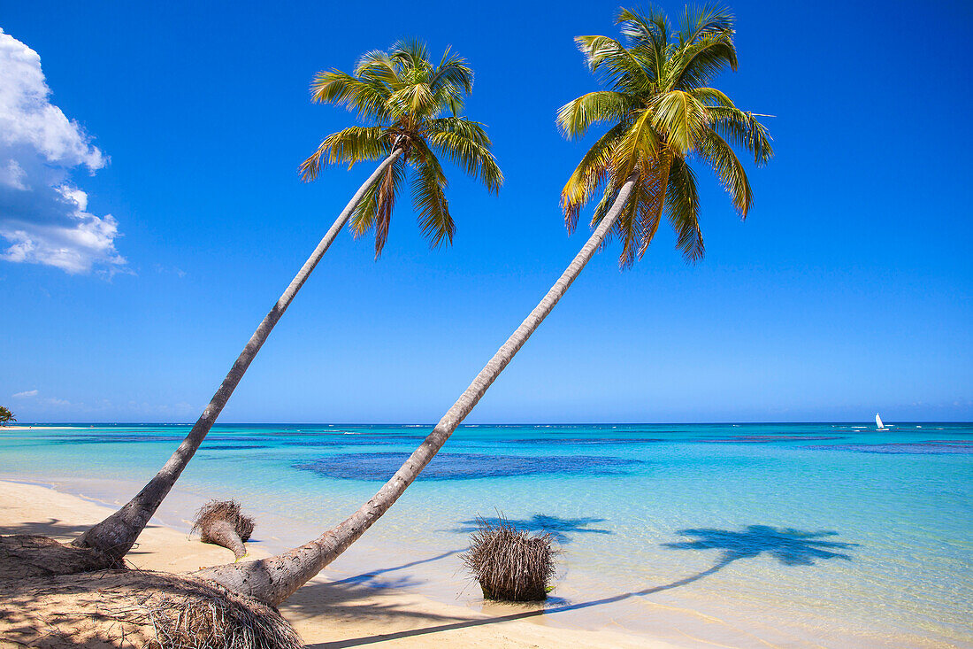 El Portillo Beach, Las Terrenas, Samana Peninsula, Dominican Republic, West Indies, Caribbean, Central America