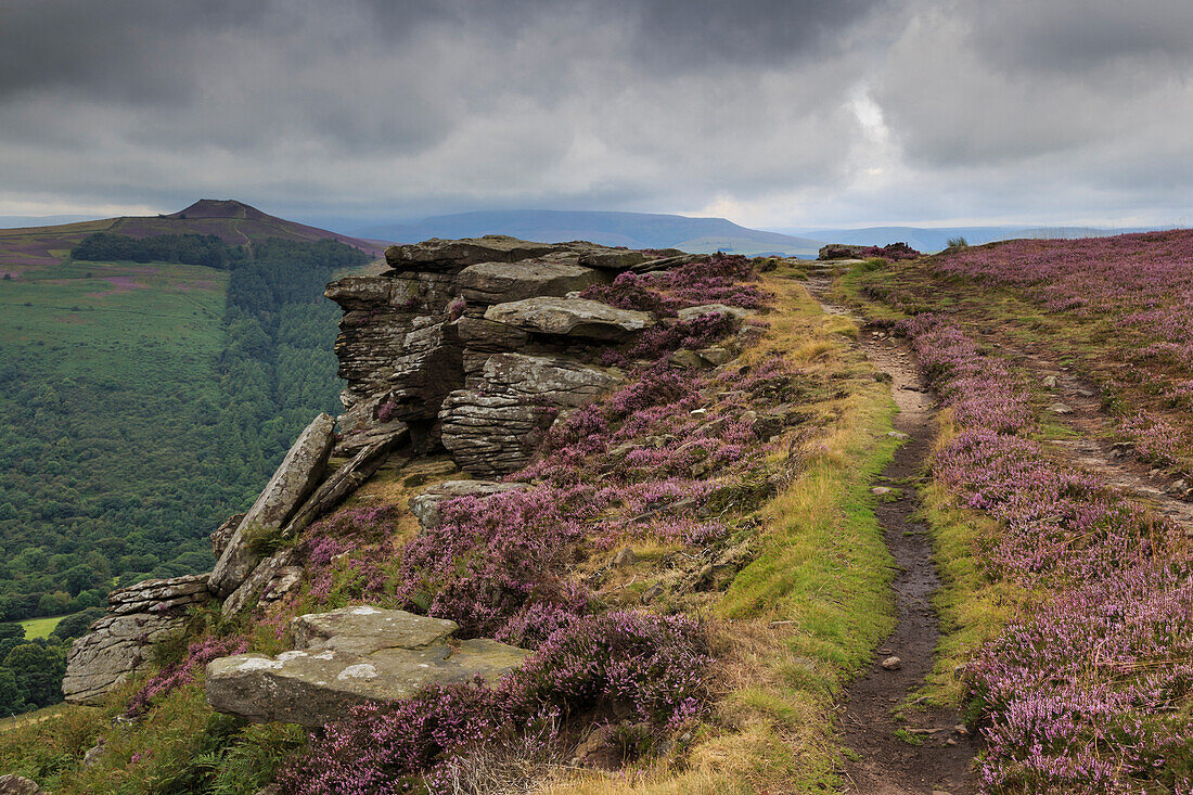 Track on Bamford Edge, Win Hill and a distant Kinder Plateau, Dark Peak, Peak District, Derbyshire, England, United Kingdom, Europe