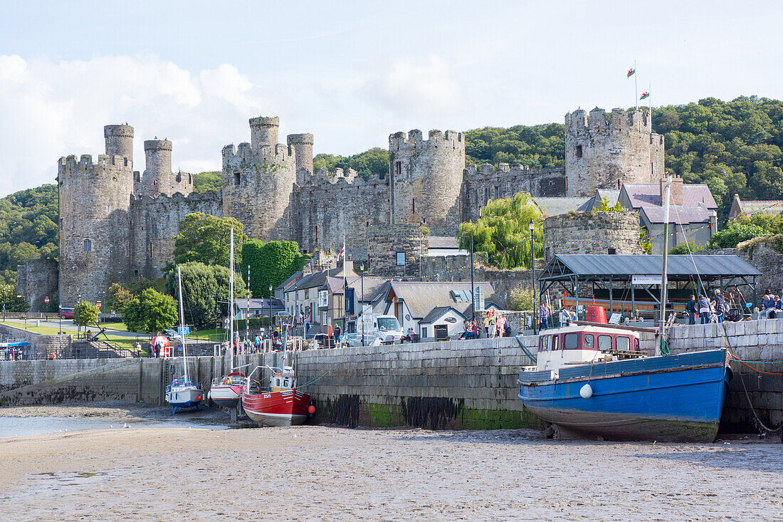 Conwy Castle, UNESCO World Heritage Site, and harbour, Conwy, Wales, United Kingdom, Europe