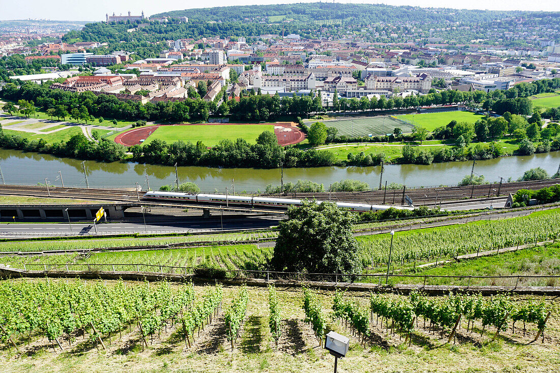 River Main, Wurzburg, Bavaria, Germany, Europe