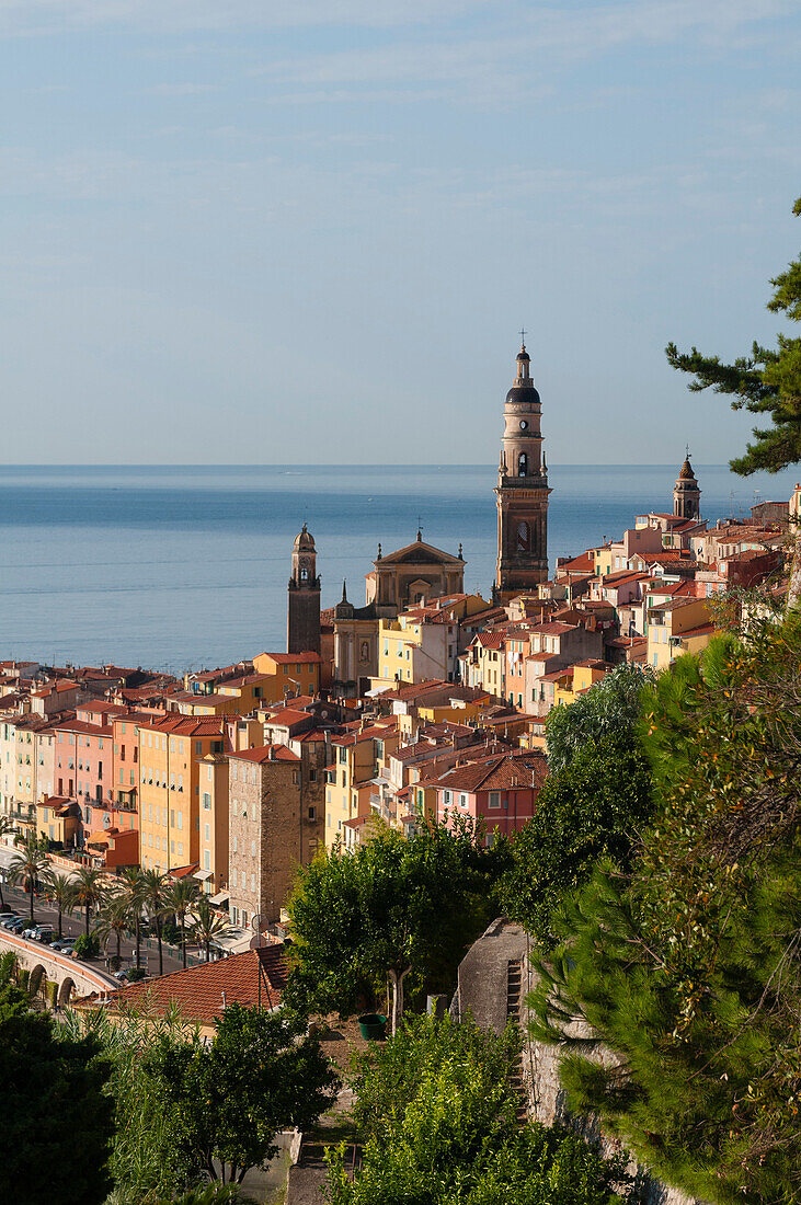 St. Michel church and the old town of Menton, Provence-Alpes-Cote d'Azur, French Riviera, France, Mediterranean, Europe