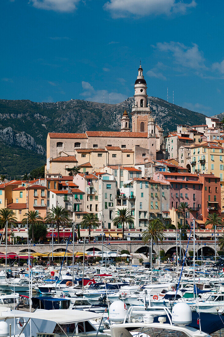 St. Michel church and the old town of Menton, Provence-Alpes-Cote d'Azur, French Riviera, France, Mediterranean, Europe