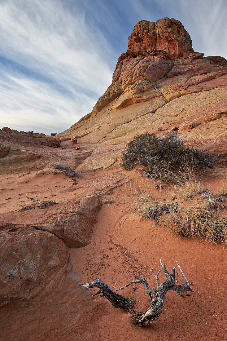 Dead branch and sandstone formations with clouds, Coyote Buttes Wilderness, Vermilion Cliffs National Monument, Arizona, United States of America, North America