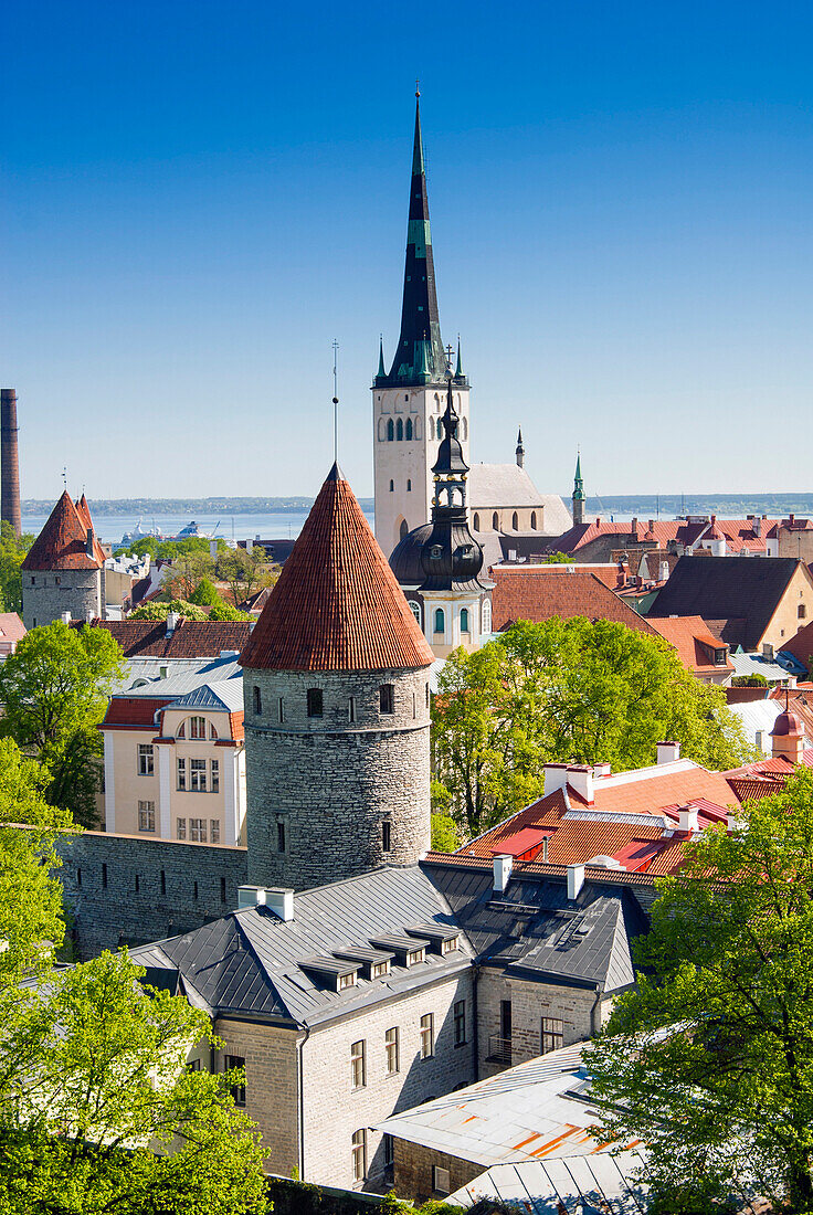 Medieval town walls and spire of St. Olav's church, Toompea hill, UNESCO World Heritage Site, Estonia, Baltic States, Europe