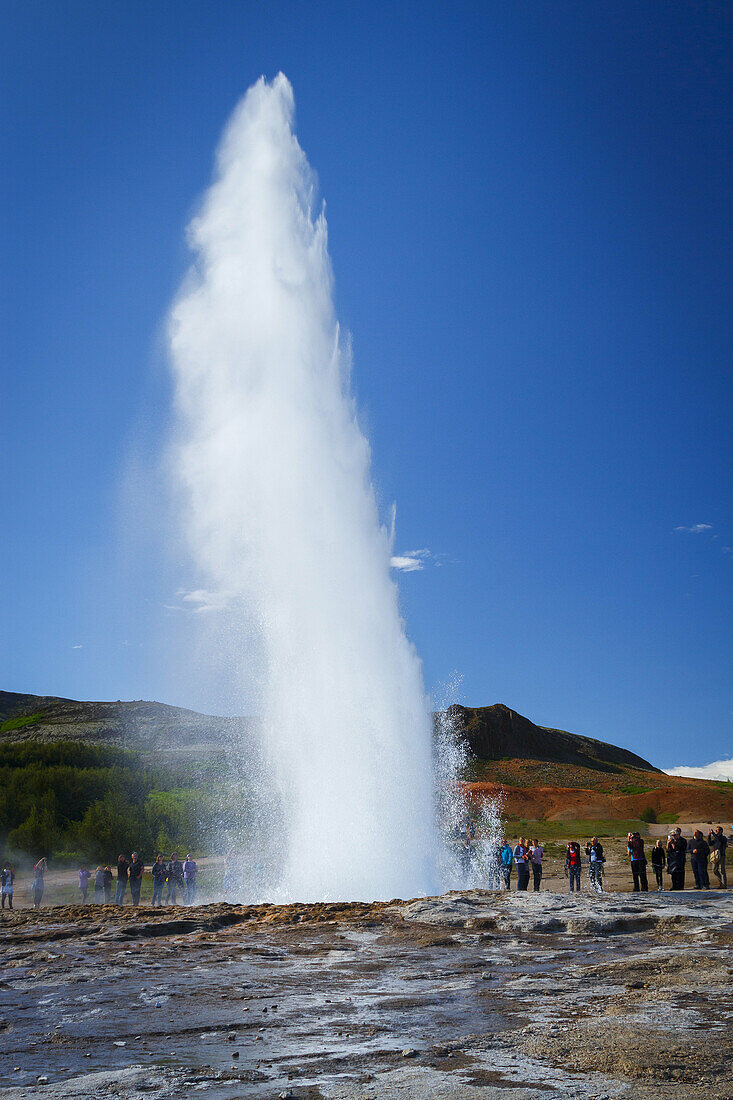 Geyser Geysir. Haukadalur valley, Golden Circle route. Iceland, Europe.