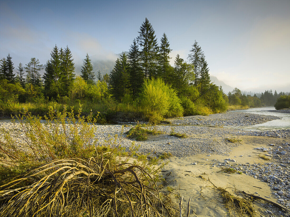 Banks of the river Isar, Isar valley, Upper Bavaria, Bavaria, Germany