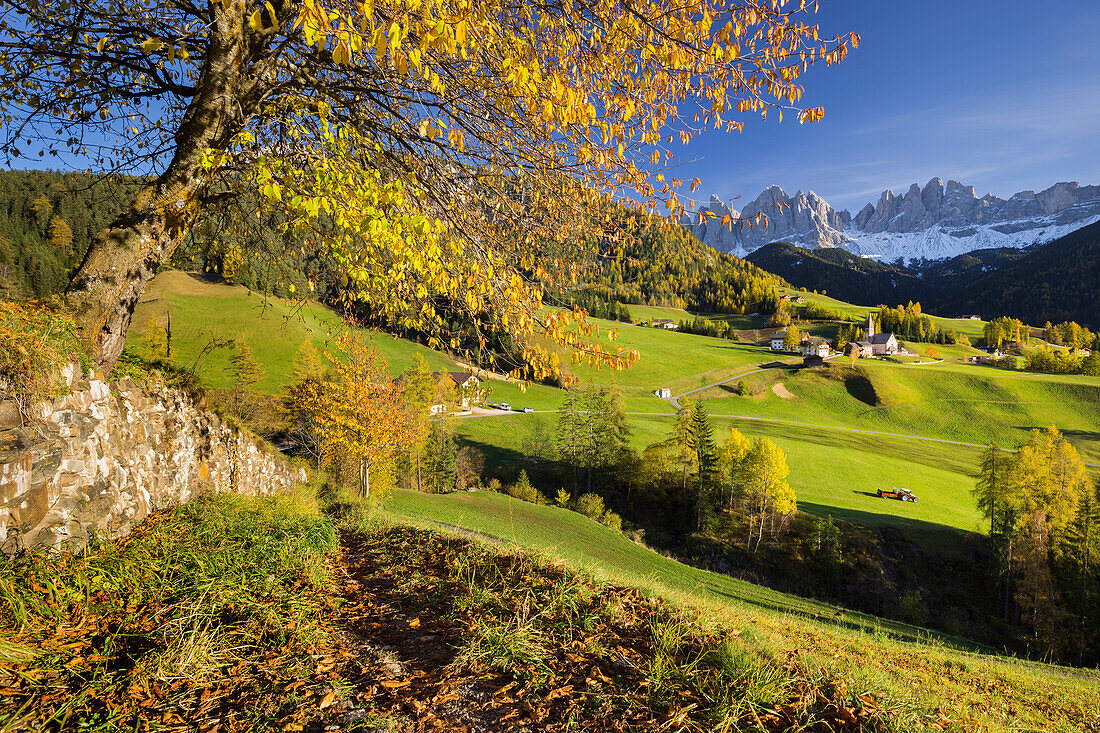 Villnoesstal valley, Santa Maddelena, Geisler Spitzen, Gruppo delle Odle, Alto Adige, South Tyrol, Dolomites, Italy