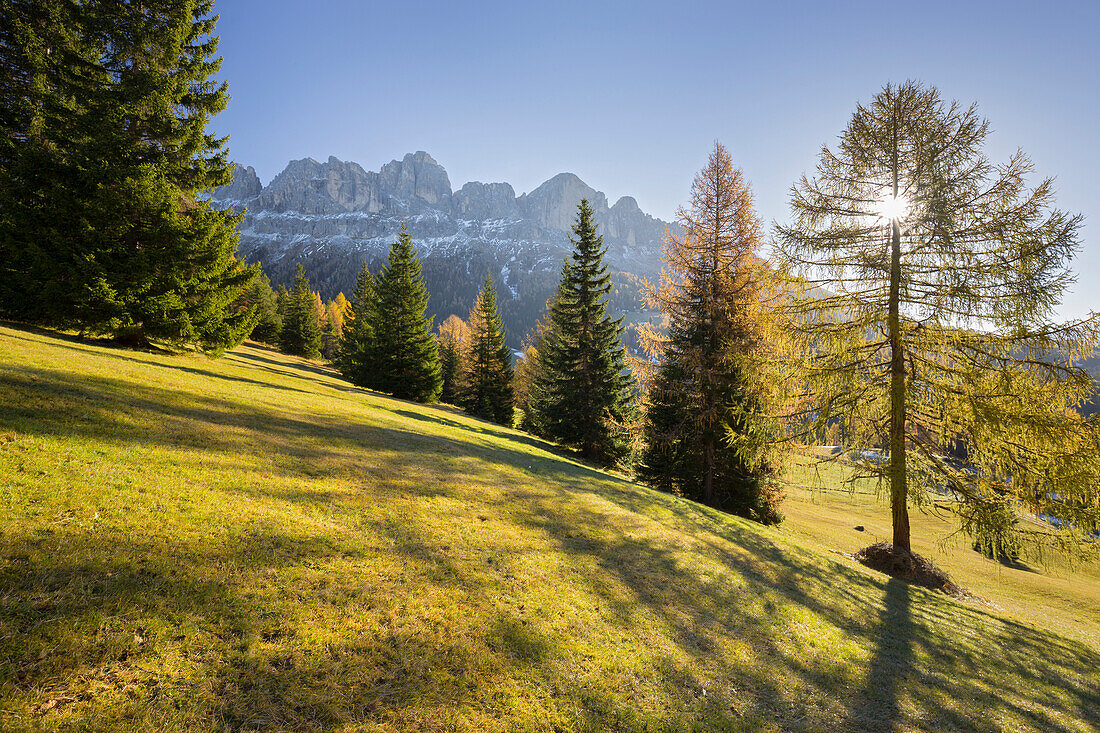 herbstliche Alm vor dem Berg Rosengarten, Kölbleggiesen, Nahe Nigerpass, Südtirol, Alto Adige, Dolomiten, Italien