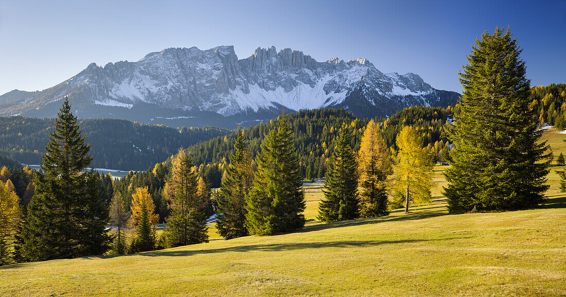 herbstliche Alm vor dem Berg Latemar, Kölbleggiesen, Nahe Nigerpass, Südtirol, Alto Adige, Dolomiten, Italien