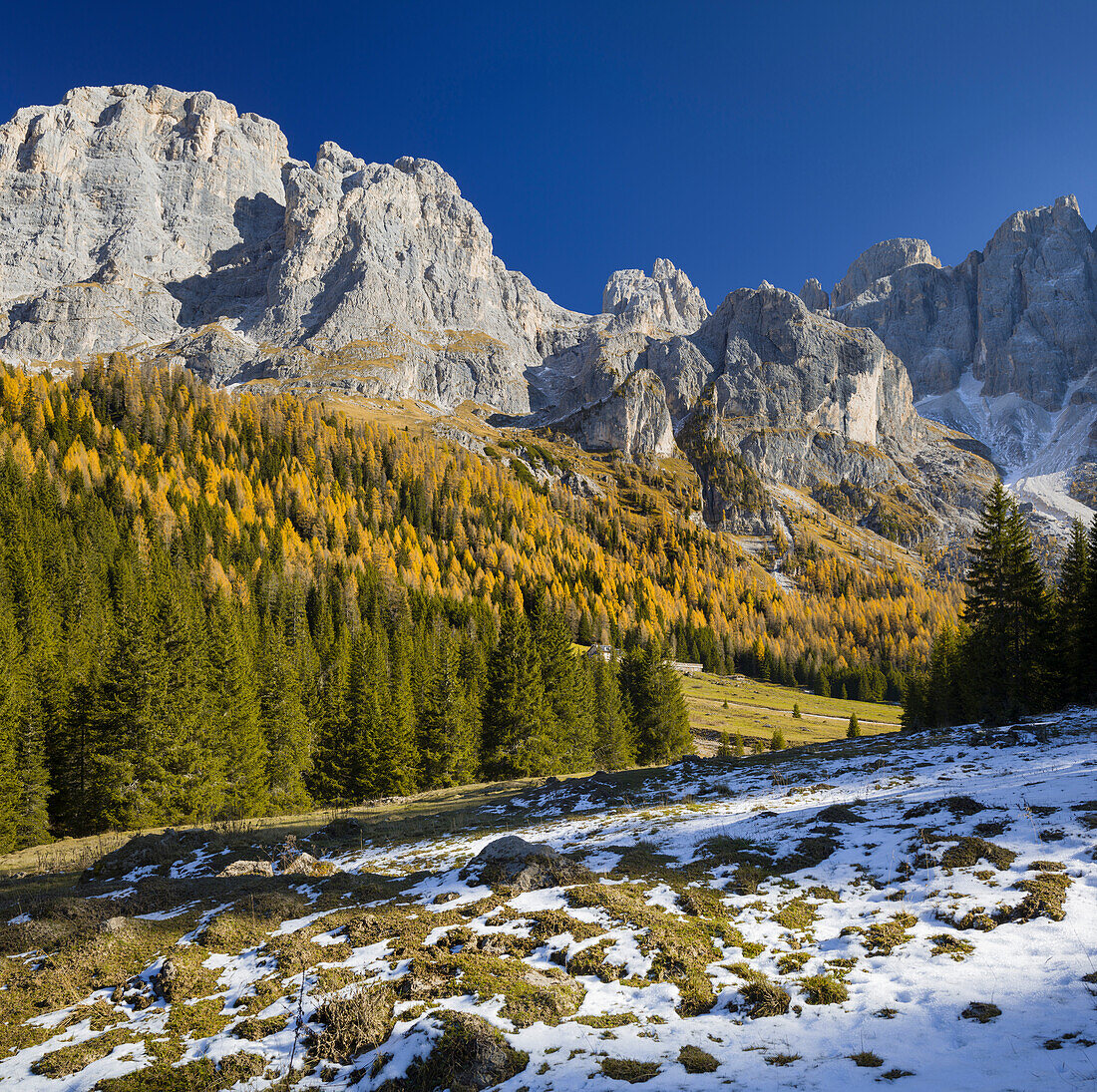 Monte Mulaz, Cima del Focobon, Val Venegia, Trentino, Alto Adige, Dolomites, Italy