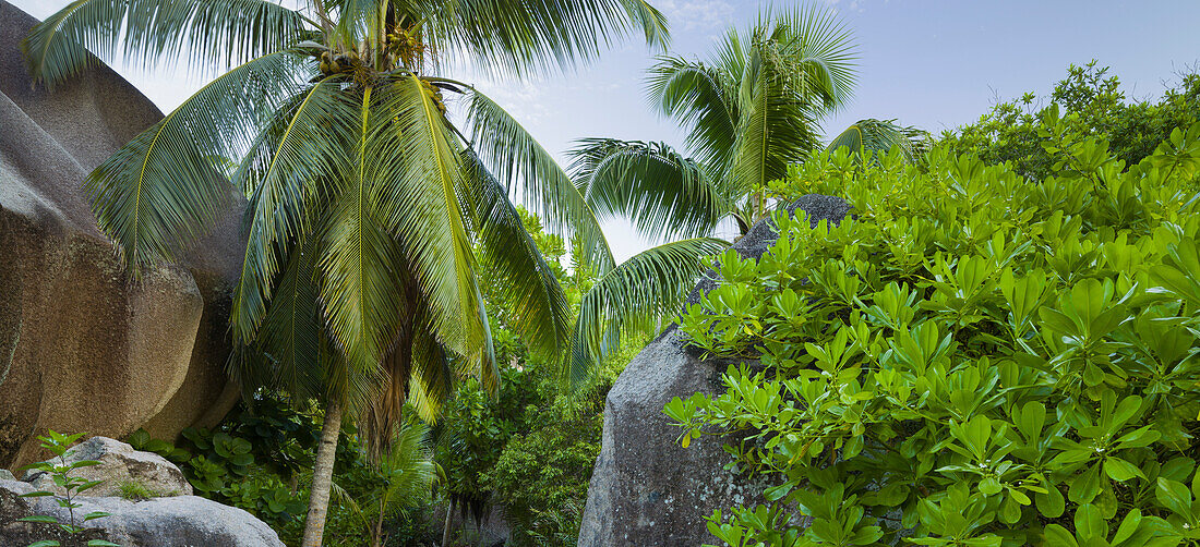Anse Source d'Argent, La Digue Island, Seychelles