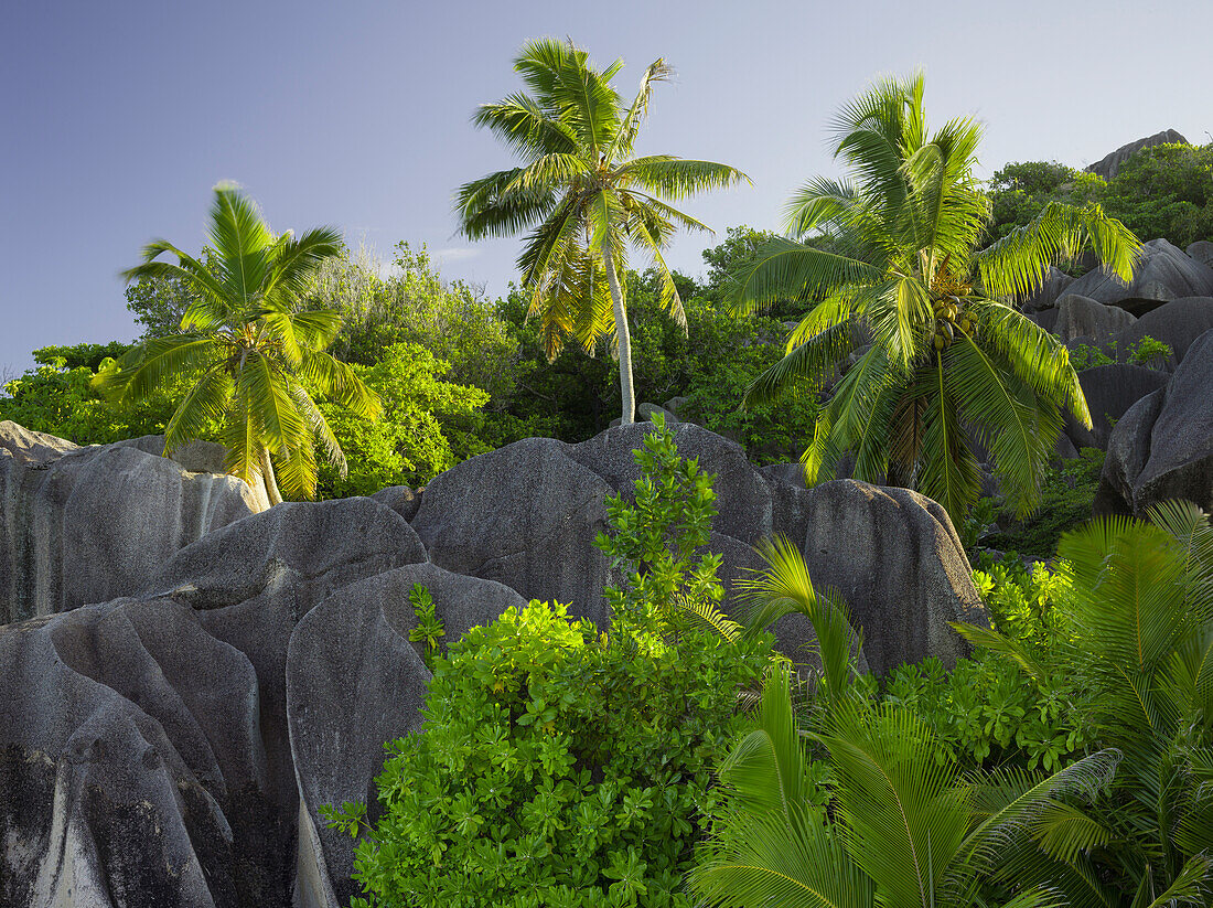 Anse Source d'Argent, La Digue Island, Seychellen