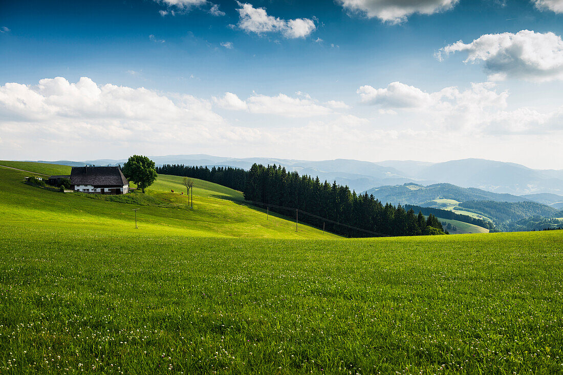 Landschaft bei St Peter, Schwarzwald, Baden-Württemberg, Deutschland