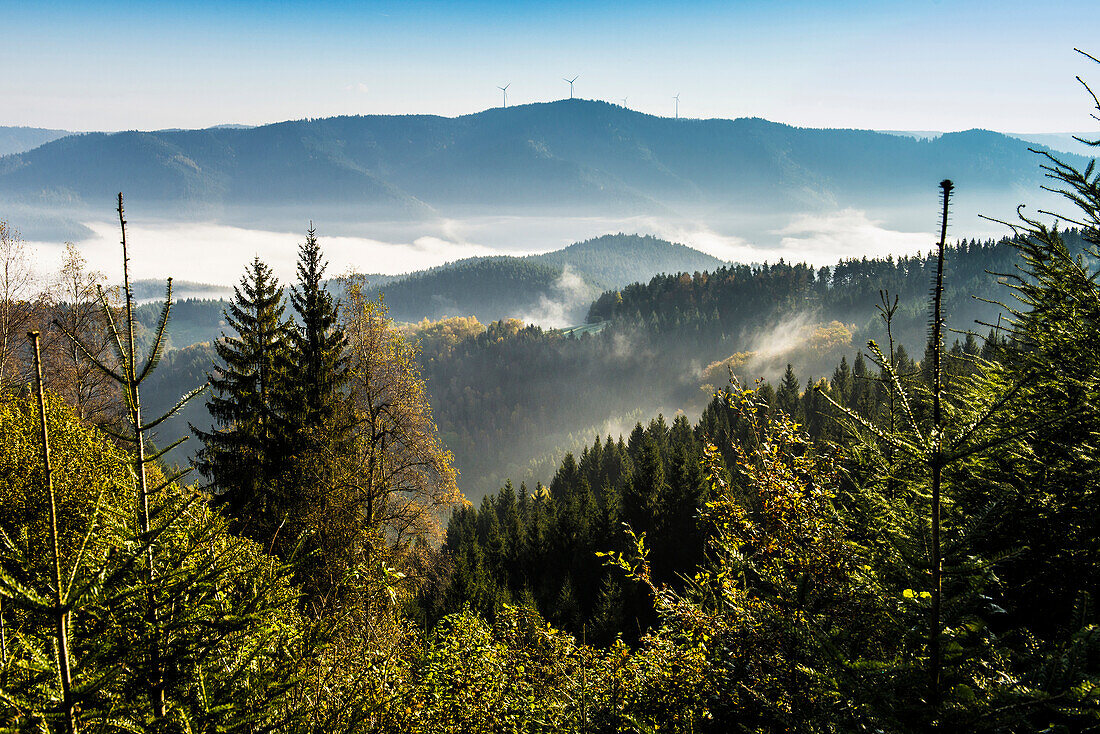 Gutach Valley, Black Forest, Baden-Wuerttemberg, Germany