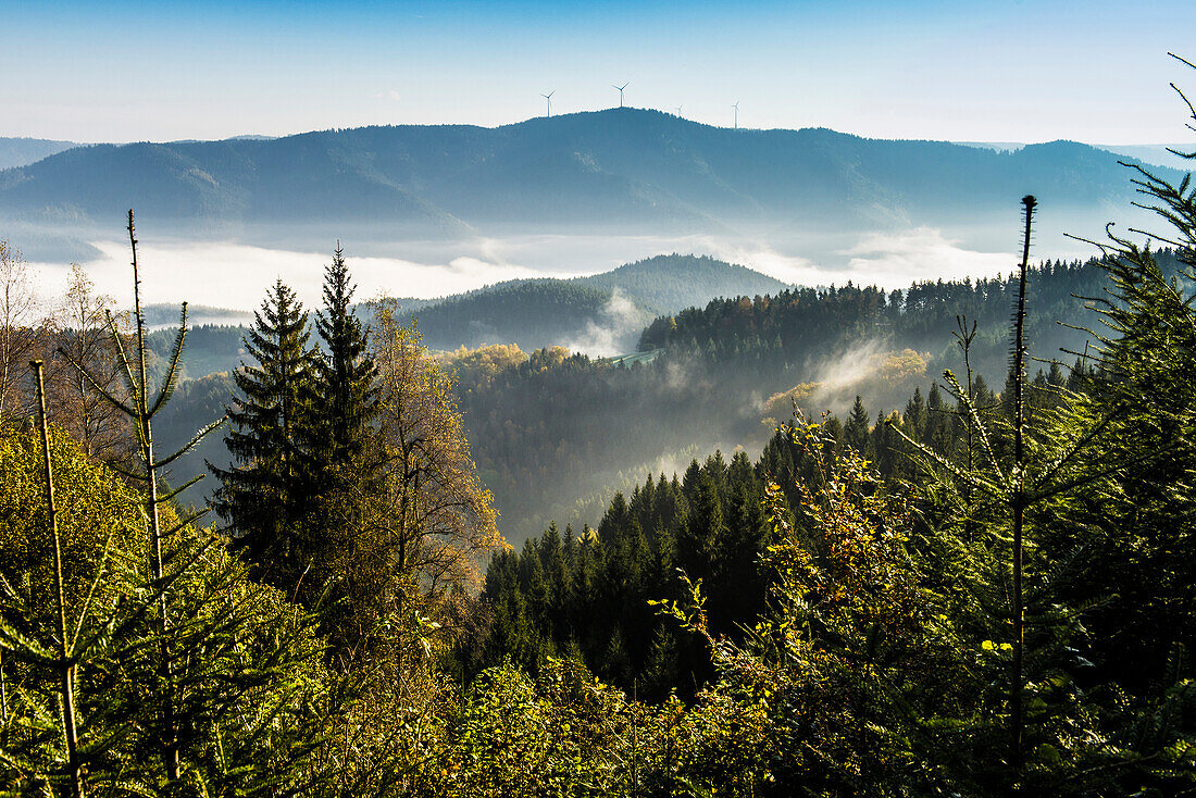 Gutachtal, Schwarzwald, Baden-Württemberg, Deutschland