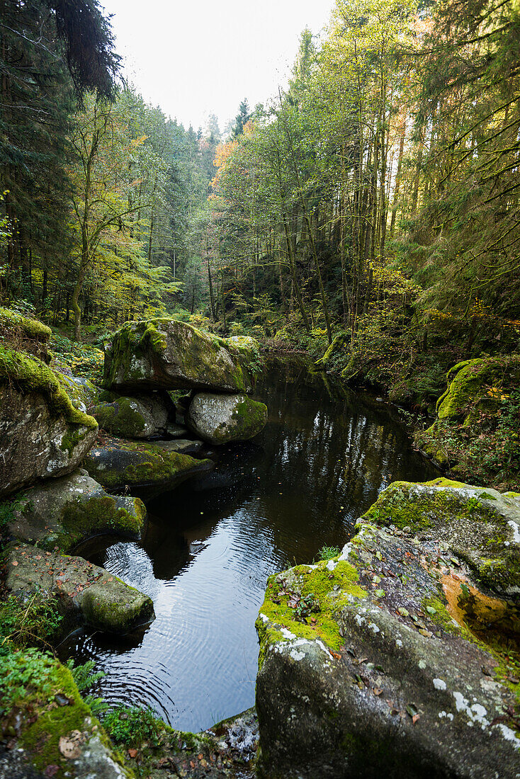 Teufelskueche, Albtal, near Goerwihl, Hotzenwald, Black Forest, Baden-Wuerttemberg, Germany