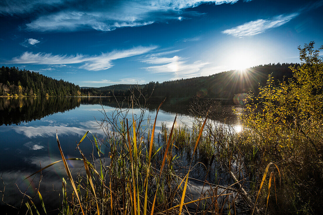 Sonnenuntergang, Spiegelung des Himmels im Windgfällweiher, bei Titisee, Schwarzwald, Baden-Württemberg, Deutschland