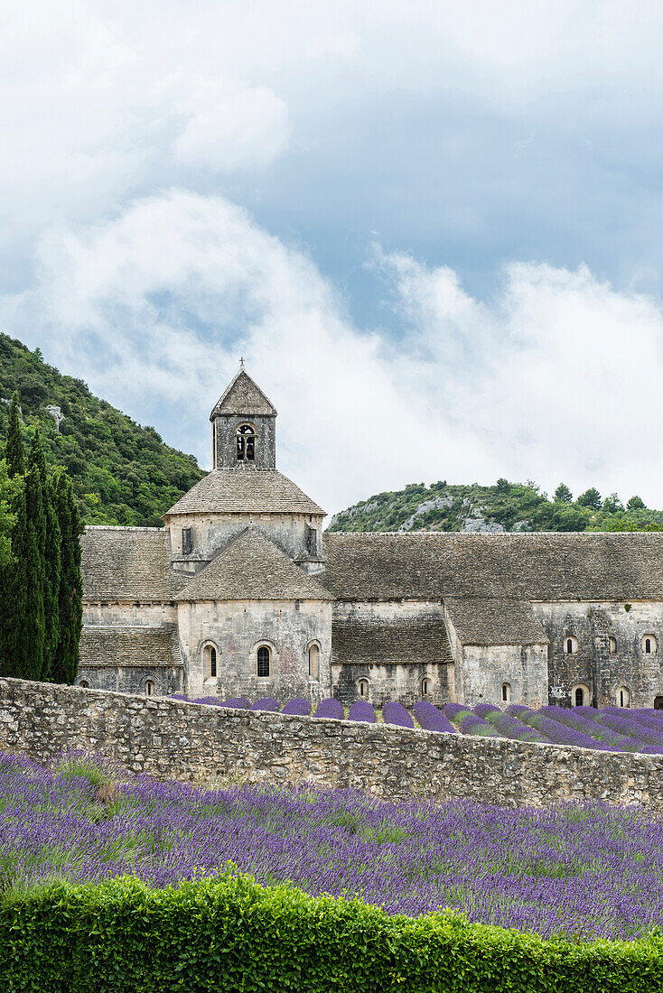 Zisterzienserabtei Notre Dame de Sénanque, bei Gordes, Département Vaucluse, Provence-Alpes-Côte d´Azur, Provence, Frankreich