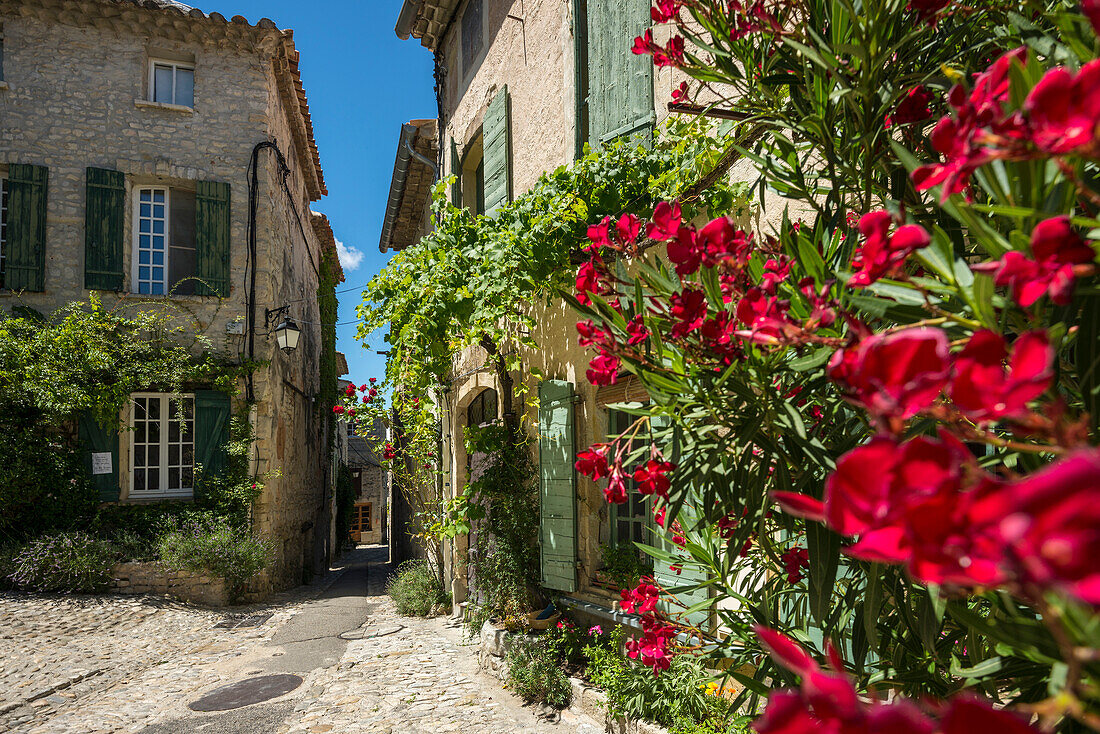 Vaison-la-Romaine, Departement Vaucluse, Provence-Alpes-Cote d´Azur, Provence, France