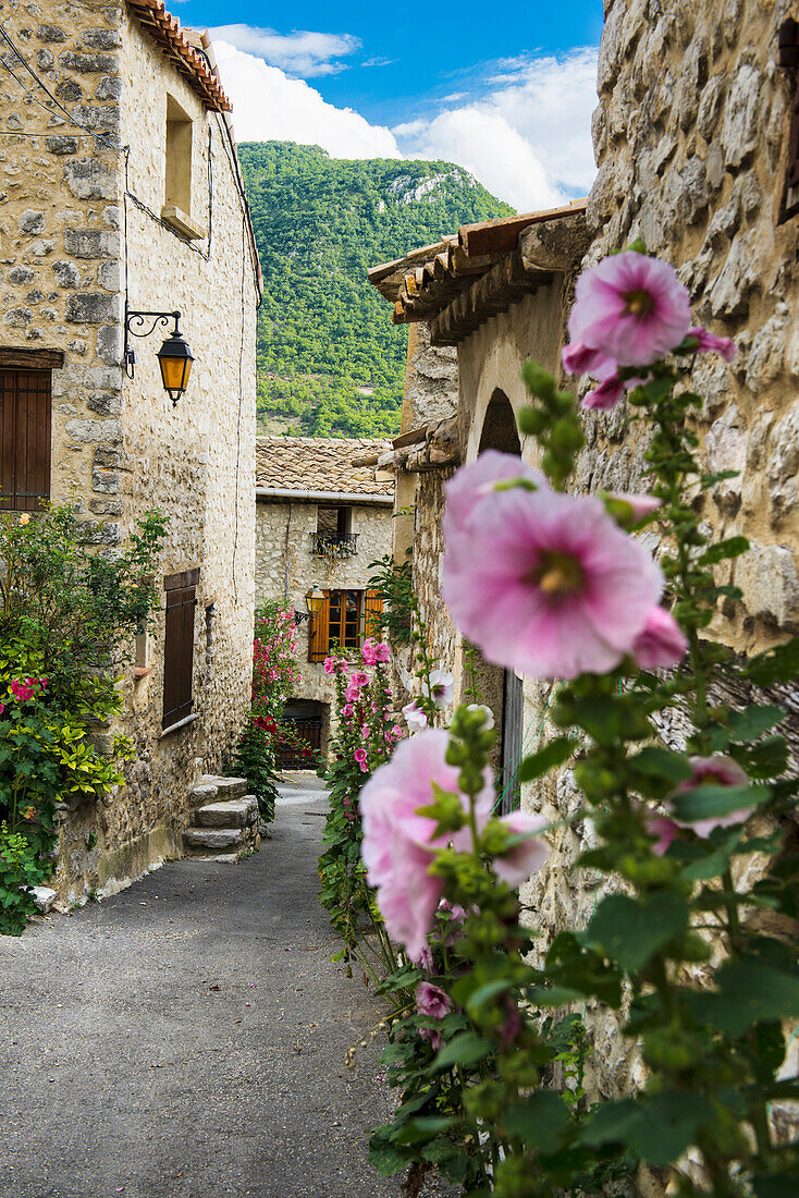 La Roche sur le Bois, bei Buis-les-Baronnies, Département Drome, Region Rhones-Alpes, Provence, Frankreich