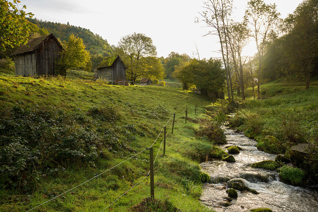 Huts near Gernsbach, Murg valley, district of Rastatt, Black Forest, Baden-Wuerttemberg, Germany