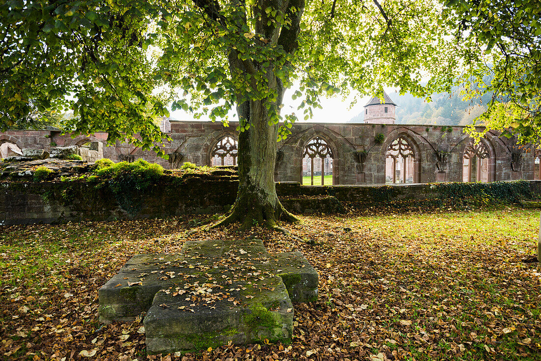 Hirsau monastery, Calw, Black Forest, Baden-Wuerttemberg, Germany